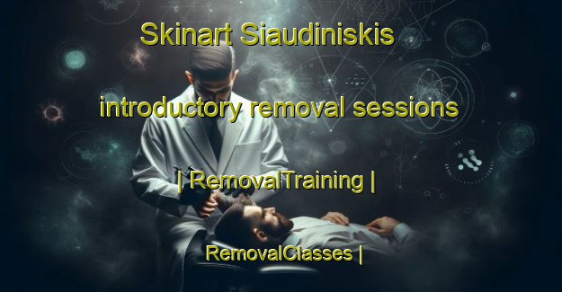 Skinart Siaudiniskis introductory removal sessions | RemovalTraining | RemovalClasses | SkinartTraining-Lithuania